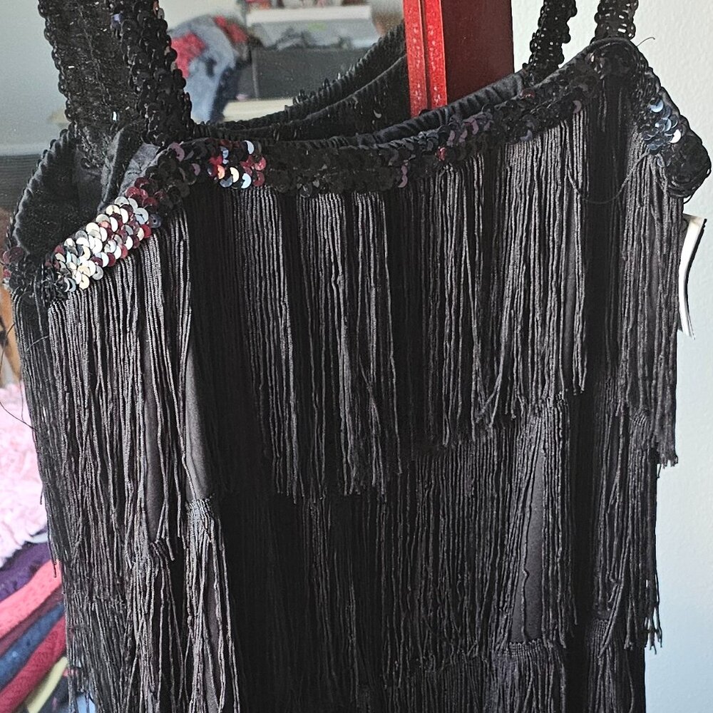 Costumes - Picture 2 of 4